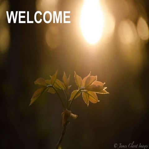 Psychologicalchangesduringpuerperium1 121109014209-phpapp02