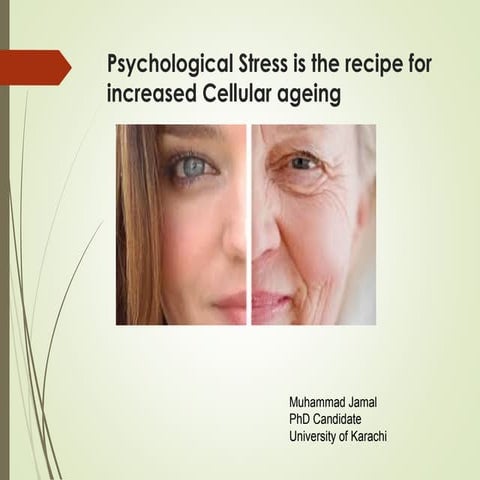 Psychological stress and ageing