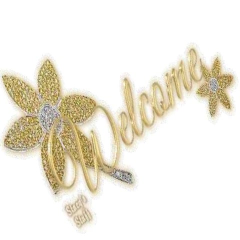 Paper 10: The  American Literature.