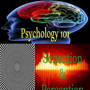 Psychology 101 Sensation & Perception