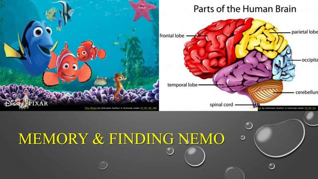 Psychology 101 Powerpoint Project Ppt Psychology 101 Powerpoint Project Ppt