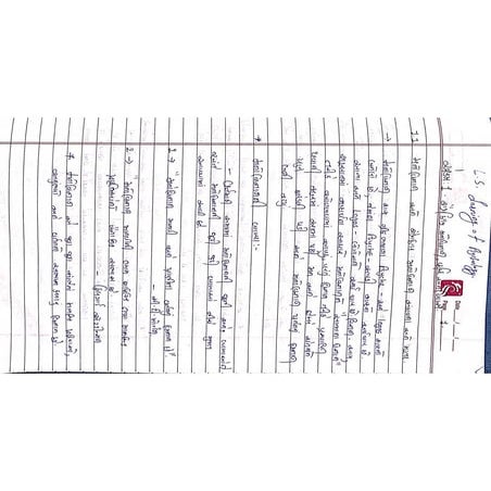 Education visual data 4