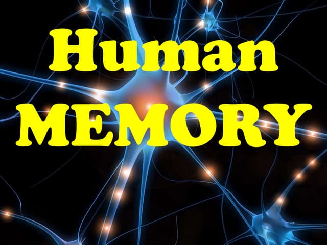 Human Memory (Psychology)