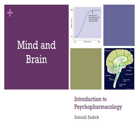 introduction to Psycopharmacology 