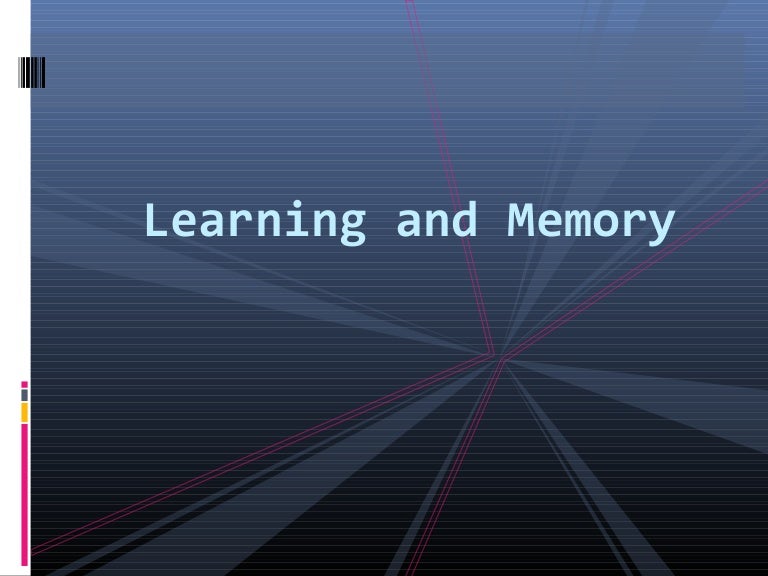 Learning Memory And Amnesia Learning Memory And Amnesia