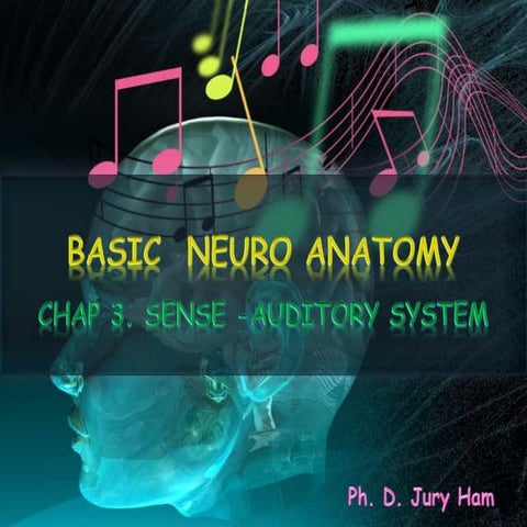 Anatomy and Physiology of the Auditory System | PPT
