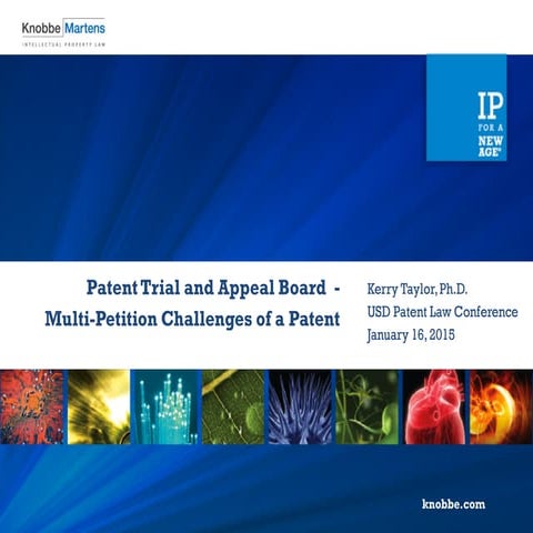 Patent Trial and Appeal Board (PTAB) - Multi Petition Challenges of a Patent