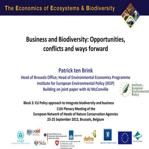 Patrick ten Brink of IEEP Business and Biodiversity TEEB ENCA presentation 