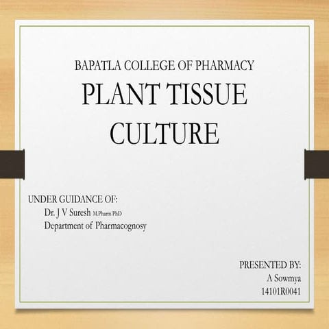 Plant tissue culture