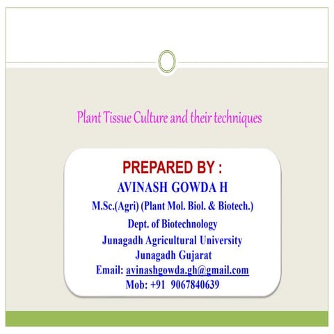 Plant tissue culture | PPTX