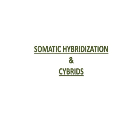 somatic hybridization