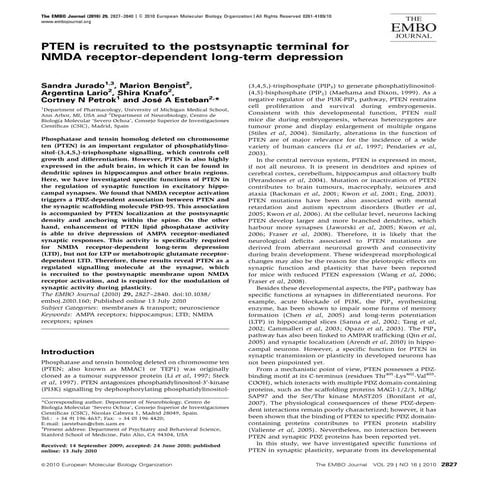 Essence of PTEN: a Broad-Spectrum Therapeutic Target in Cancer | PDF