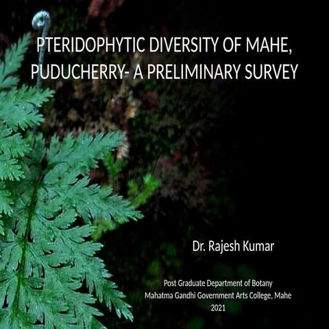 PTERIDOPHYTE FL-WPS Rajesh kumar Office.pptx