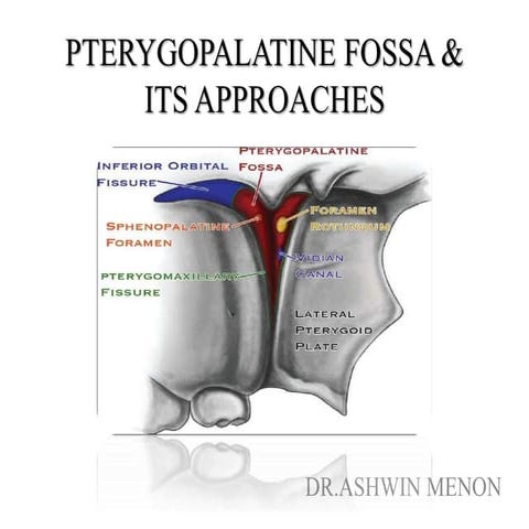 Pterygopalatine fossa and approaches by Dr.Ashwin Menon