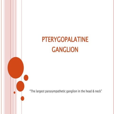 Pterygopalatine ganglion 1