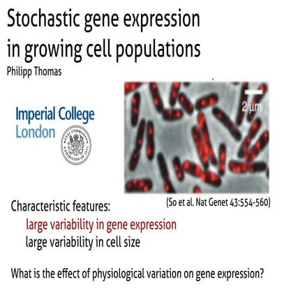 Stochastic gene expression in growing cell populations - Philipp Thomas ...