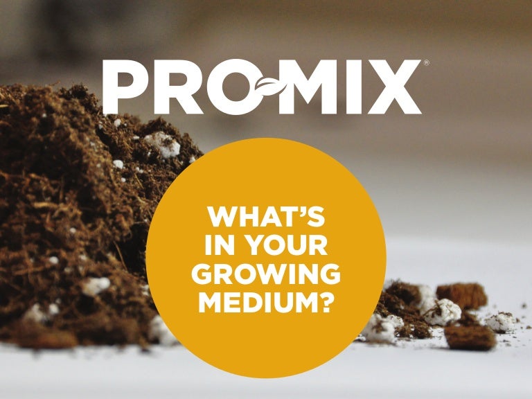 What's in your Growing Medium?