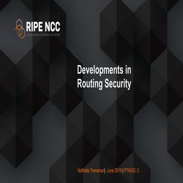 Developments in Routing Security