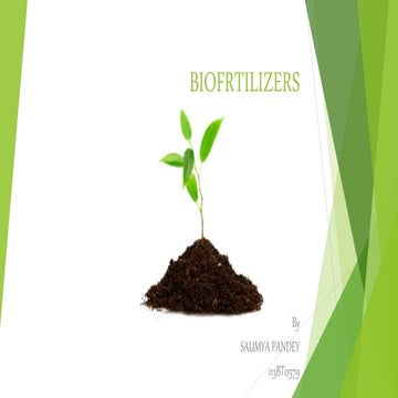  biofertilizers : Good for nature and good for you