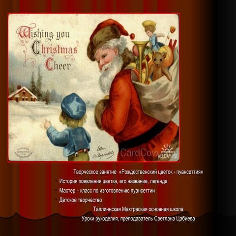 Puansettija - Рождественский цветок