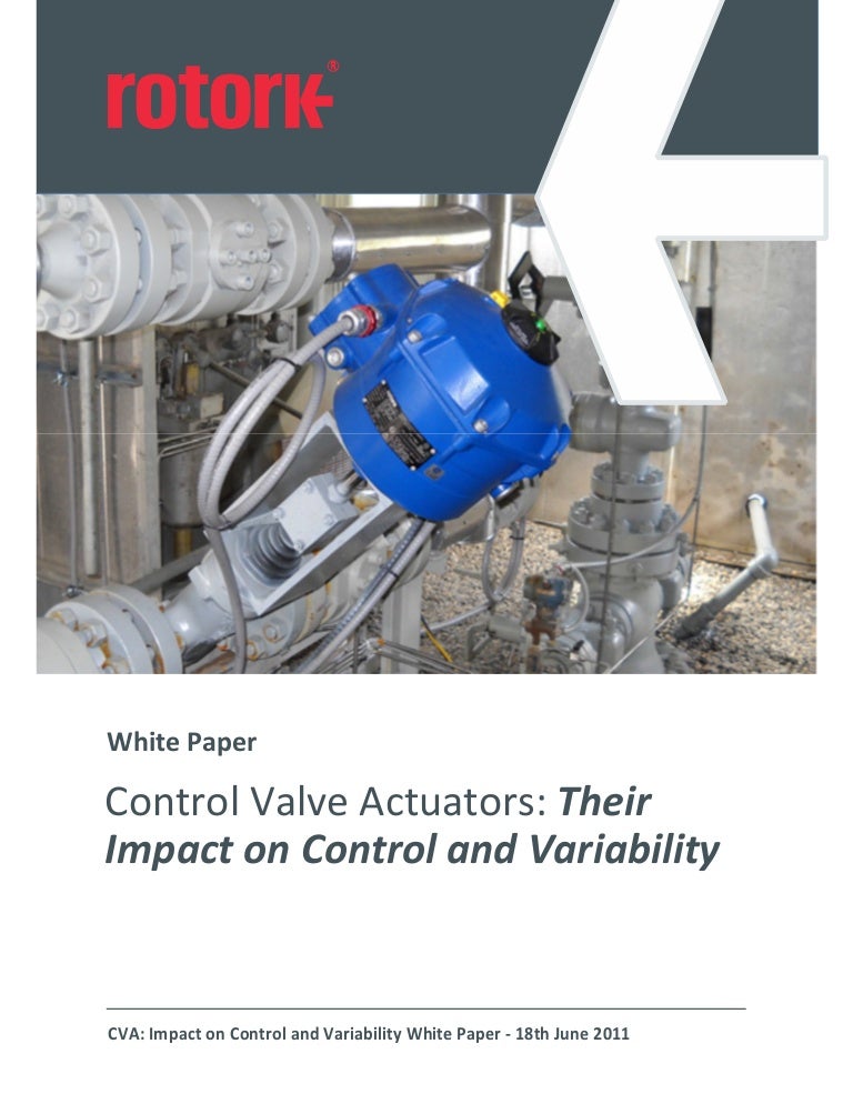 Control Valve Actuators Their Impact on Control and Variability