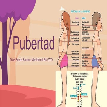 LA Pubertad cambios fisiologicos durante la pubertad | PPTX