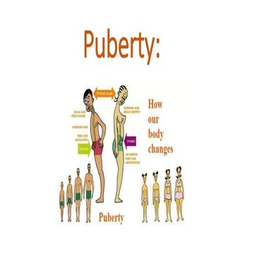 Puberty (Advanced Developmental Psychology)
