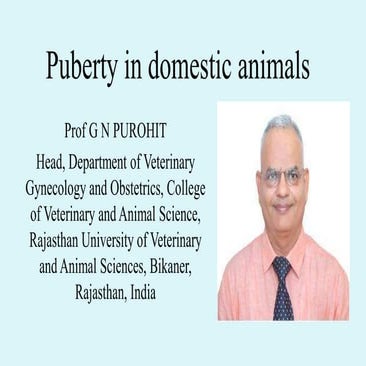 Puberty in domestic animals