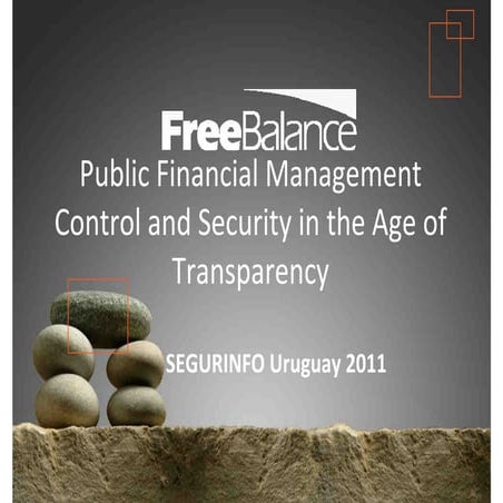 Public financial-management-control-and-security-in-the-age-of-transparency