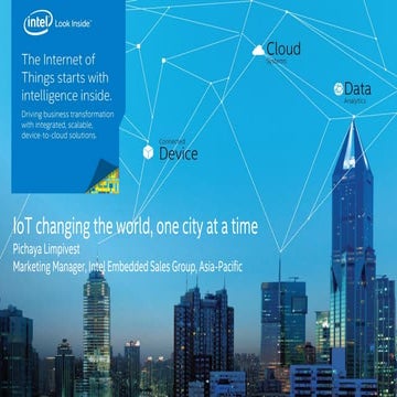Public-Intel IoT and Smart City Experience rev.pdf