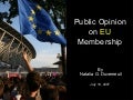 Public Opinion On Eu V3