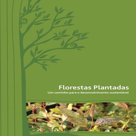 Cultivos energéticos en Brasil