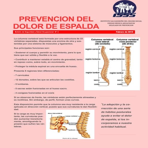 PROTECCIÓN DE LA ESPALDA