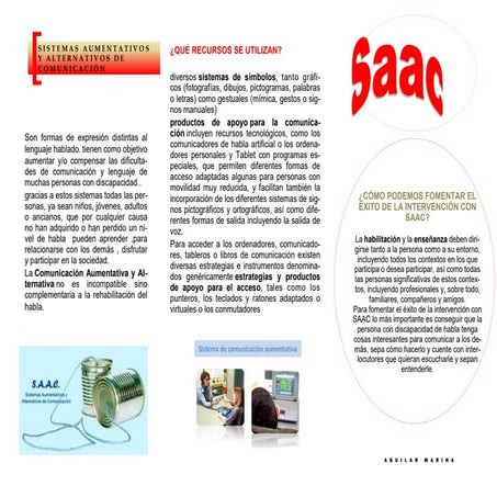 Presentación tarea 4 saac | PDF