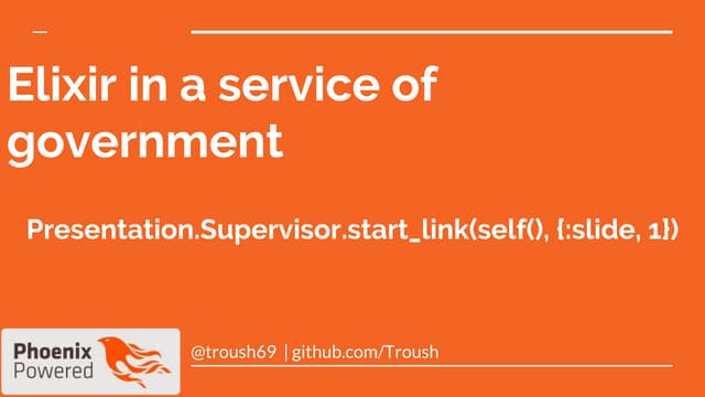 Elixir in a service of government - Alex Troush