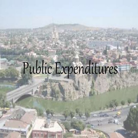 Public expenditures