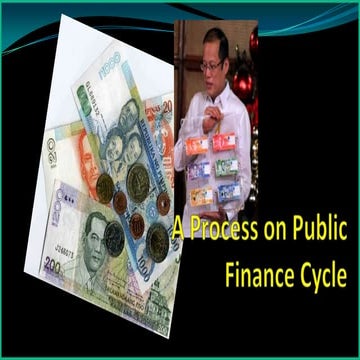 Public Finance