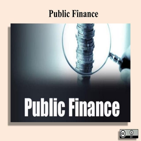public finance for undergraduate students.pptx