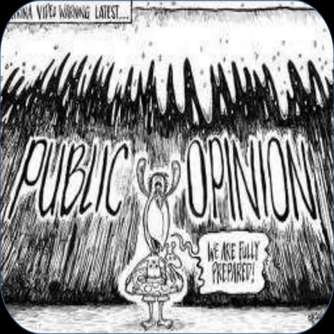 Public opinion