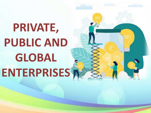 Public private and global enterprises