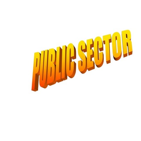 Public sector- Shah Jalpa R.[M.com.,M.Ed.,M.Phil.,NET,Ph.D.-Education]