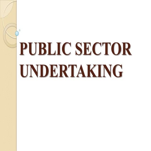 Public sector undertaking (PSU)