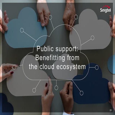 Public support: Benefitting from the cloud ecosystem