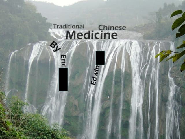 Traditional Chinese Medicine