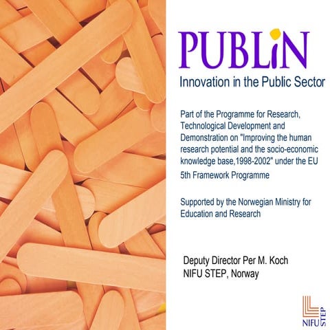 Publin Innovation in the Public Sector