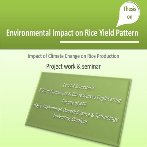 Environmental Impact on Rice Yield