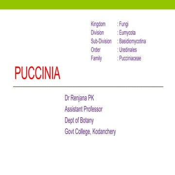 Puccinia