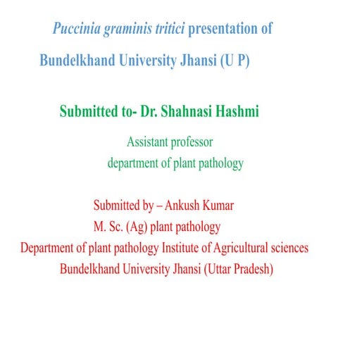 Puccinia-graminis ak.pdf