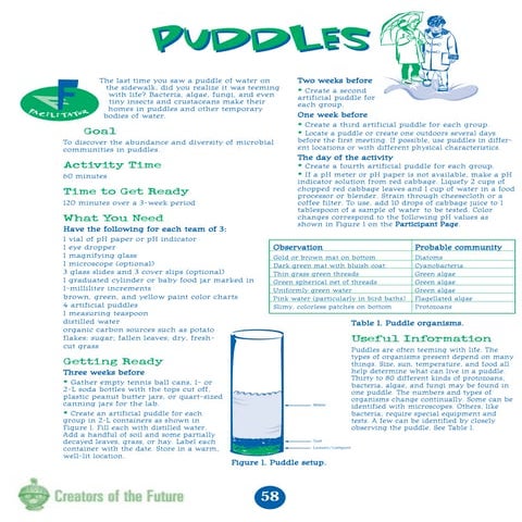 Science year-5 | PDF