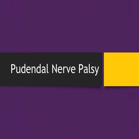 Pudendal nerve palsy - causes, symptoms & management